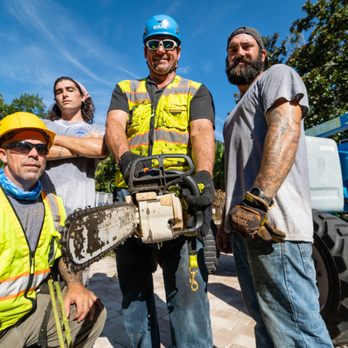 T & D Tree Service - T&D Tree Service LLC - Tree Services Near Me - Ormond Beach, Florida T & D Tree Service - T&D Tree Service LLC - Tree Services Near Me - Ormond Beach, Florida