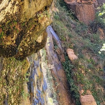 Weeping Rock - Hiking Near Me - Springdale, Utah