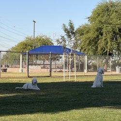 Roscoe Dog Park - Grass area
