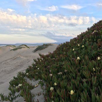 Morro Bay - Flowers and sand and clouds - Landmarks & Historical Buildings Near Me - Morro Bay, California