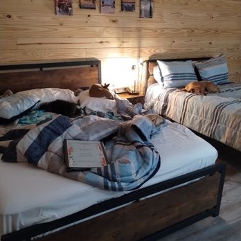 Who Dat Bar And Grill - Did I mention The Good Times Marina is pet friendly motel?  The room is really clean and smells like essential oil! - Bars Near Me - Steinhatchee, Florida