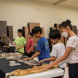 TECC - Temple City Education Center