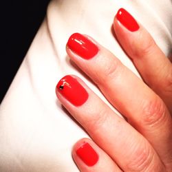 Nail X pert