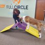Photo of Full Circle Obedience School