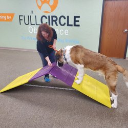 Full Circle Obedience School - Training Bruce Willis to use a ramp