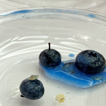 Jamba - Blueberry with stem (more but not shown) - Juice Bars & Smoothies Near Me - Washington, DC, District of Columbia