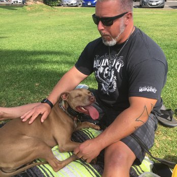 Off Leash K9 Training  - Pet Training Near Me - Murrieta, California