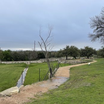 Sun Outdoors Lake Travis - Path behind RV sites. Great for walking dogs - Campgrounds Near Me - Austin, Texas Sun Outdoors Lake Travis - Path behind RV sites. Great for walking dogs - Campgrounds Near Me - Austin, Texas