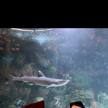 Dive Lounge - Lounges Near Me - Denver, Colorado Dive Lounge - Lounges Near Me - Denver, Colorado