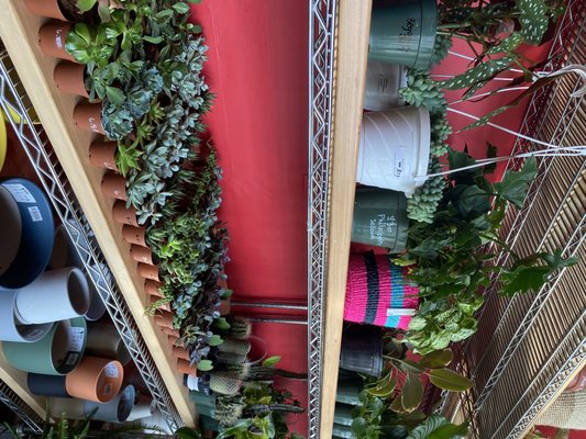 Mae Mae Café & Plant Shop by null