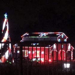 Lights Of Palmetto