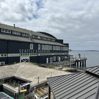 Seattle Aquarium - Aquariums Near Me - Seattle, Washington Seattle Aquarium - Aquariums Near Me - Seattle, Washington