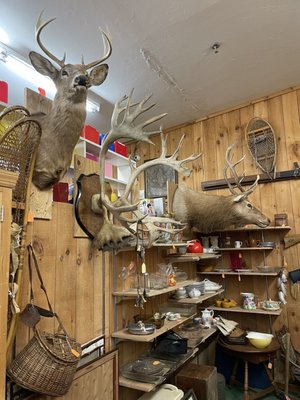 Vermont Antique Mall by null