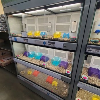 Petco - Pet Stores Near Me - North Hollywood, California Petco - Pet Stores Near Me - North Hollywood, California