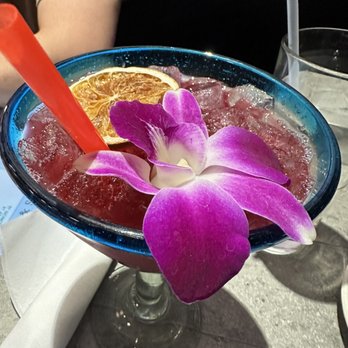 Blue Habanero - Hibiscus Margarita - Mexican Near Me - Strongsville, Ohio Blue Habanero - Hibiscus Margarita - Mexican Near Me - Strongsville, Ohio