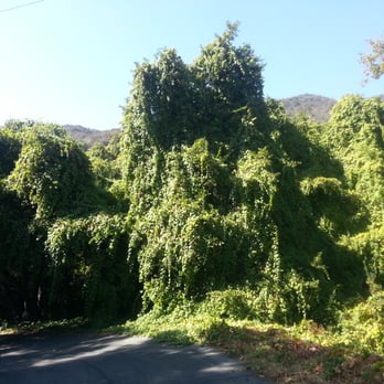 Ben Overturff Trail - Hiking Near Me - Monrovia, California