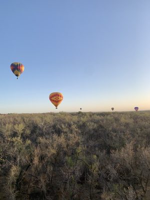 Rainbow Ryders Hot Air Balloon Co. by null