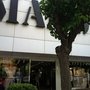 Photo of Mango