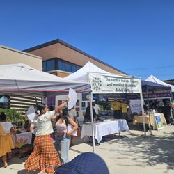 Elk Grove Multicultural Festival