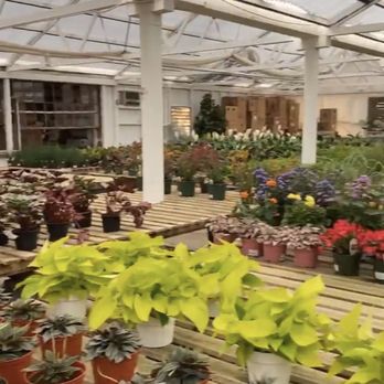 Rolling Greens - Nurseries & Gardening Near Me - Culver City, California