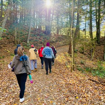 Wellspring - Our residents enjoyed the restorative power of forest bathing, led by a trained Forest Bathing Guide. - Hospitals Near Me - Bethlehem, Connecticut