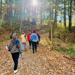 Wellspring - Our residents enjoyed the restorative power of forest bathing, led by a trained Forest Bathing Guide.