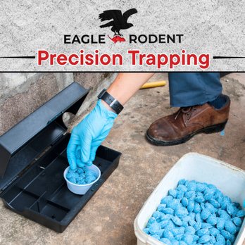 Eagle Rodent Proofing - Precision Pest Trapping Services - Pest Control Near Me - San Carlos, California Eagle Rodent Proofing - Precision Pest Trapping Services - Pest Control Near Me - San Carlos, California