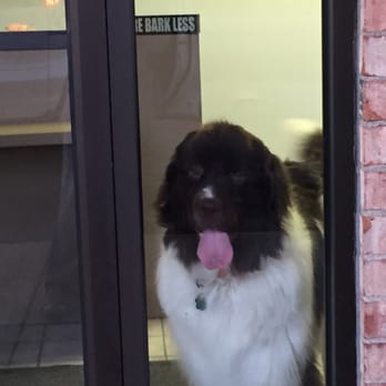 Dog Day Care- Pathways to Independence - Pet Sitting Near Me - Columbus, Ohio Dog Day Care- Pathways to Independence - Pet Sitting Near Me - Columbus, Ohio