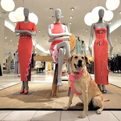 Neiman Marcus