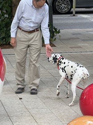 Paradise Plaza by null