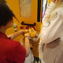 Build-A-Bear