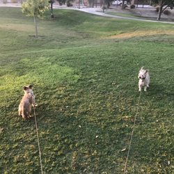 George S Patton Park - We claiming this park