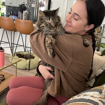 Paws Into Grace - Pet Hospice Near Me Paws Into Grace - Pet Hospice Near Me