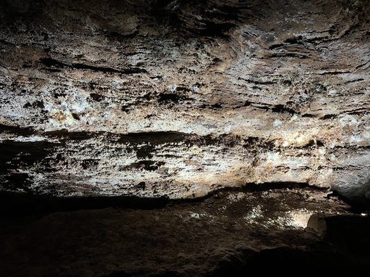 The Lost Sea Adventure by null