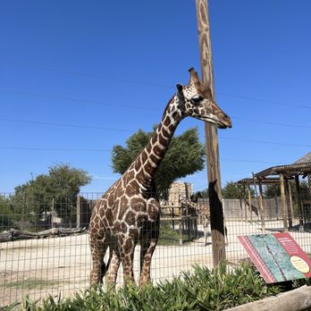 Abilene Zoo - Zoos Near Me - Abilene, Texas