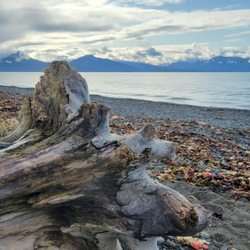 Bishop's Beach