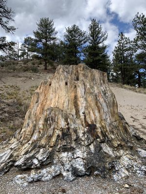 Florissant Fossil Beds National Monument by null