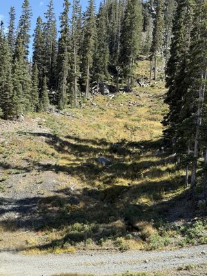 Taos Ski Valley by null