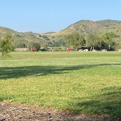 Miller Park - Open space to do all kinds of things.