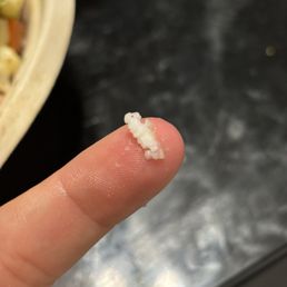 Uncooked Grain of white rice pressed between fingers for reference. Uncooked Grain of white rice pressed between fingers for reference.