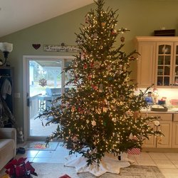 Harris Farm - Every year the Harris farm has the perfect Christmas Trees