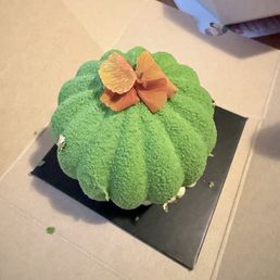 Succulent cake