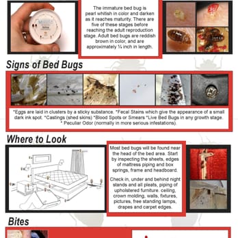 Abell Pest Control - Bed Bug Poster - Pest Control Near Me - Sunnyvale, California Abell Pest Control - Bed Bug Poster - Pest Control Near Me - Sunnyvale, California