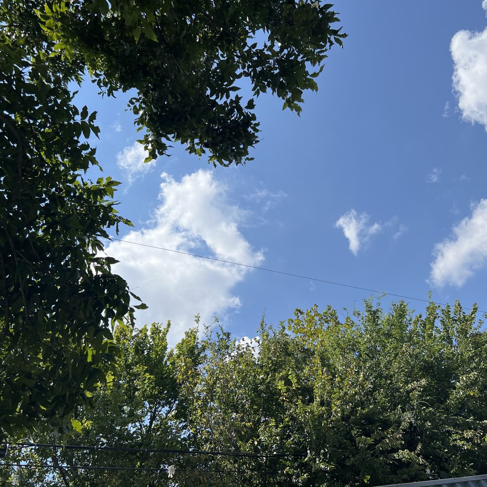 TOP 10 BEST 24 Hour Currency Exchange near Old Enfield, Austin, TX -  Updated 2026 - Yelp