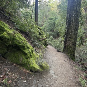 Castle Rock State Park - Parks Near Me - Los Gatos, California Castle Rock State Park - Parks Near Me - Los Gatos, California