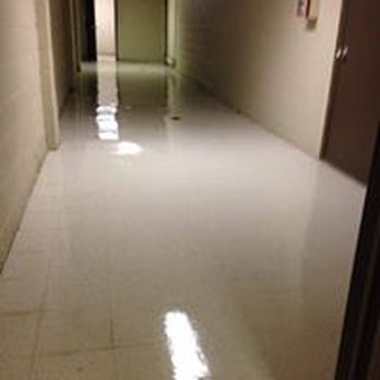 Hot Scrub Carpet Cleaning - Carpet Cleaning Near Me - Warren, Michigan Hot Scrub Carpet Cleaning - Carpet Cleaning Near Me - Warren, Michigan