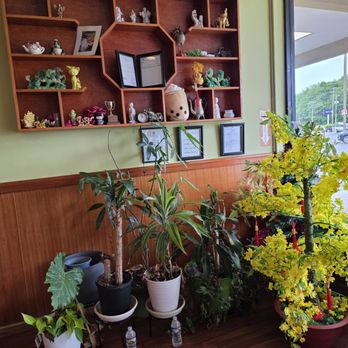 Pho Saigon - Many plants on the floor and an open shelf wall case with momentos from the past set the tone of this genuine Vietnamese restaurant. - Vietnamese Near Me - Roanoke, Virginia Pho Saigon - Many plants on the floor and an open shelf wall case with momentos from the past set the tone of this genuine Vietnamese restaurant. - Vietnamese Near Me - Roanoke, Virginia