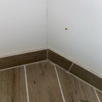 Best Western Plus Brunswick Bath - Brown stains on wall and floor in bathroom near toilet - Hotels Near Me - Brunswick, Maine Best Western Plus Brunswick Bath - Brown stains on wall and floor in bathroom near toilet - Hotels Near Me - Brunswick, Maine