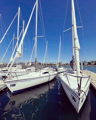 Harbor Sailboats by null