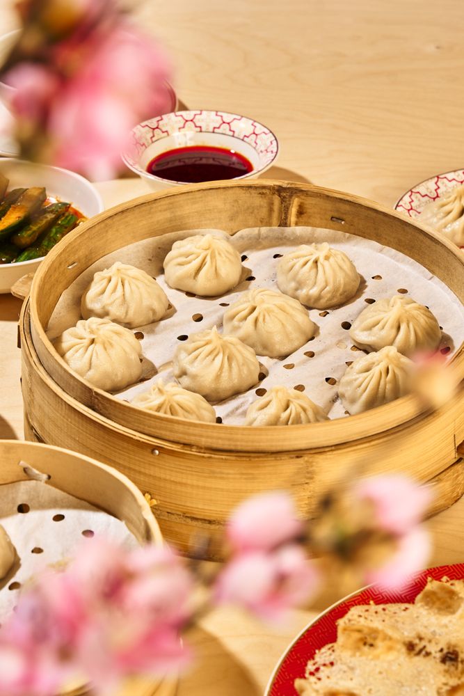 Sammi & Soupe Dumpling